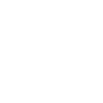 The Knight Foundation
